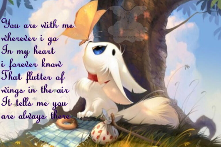 A white puppy looking up to a yellow butterfly that landed on its nose. Text reads: You are with me wherever i go In my heart i forever know That flutter of Wings in the air It tells me you are always there