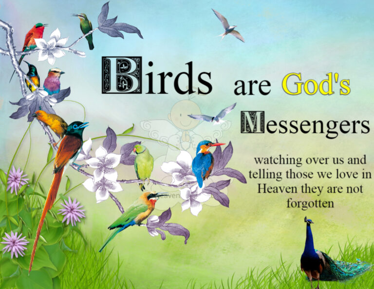 Birds of all kinds resting on flowers. Text reads: birds : are God's Messengers watching over us and telling those we love in Heaven they are not forgotten