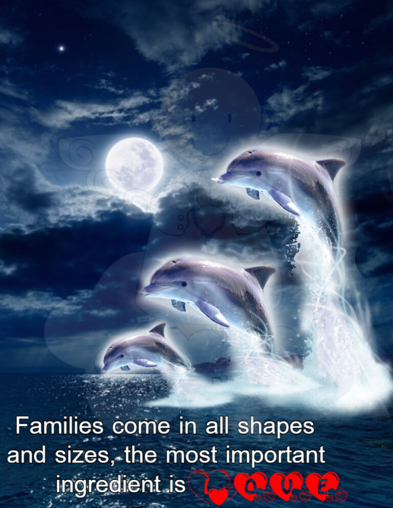 Three dolphins jumping up to the air against a night sky with a bright moon. Text reads: Families come in all shapes and sizes, the most important ingredient is Love.