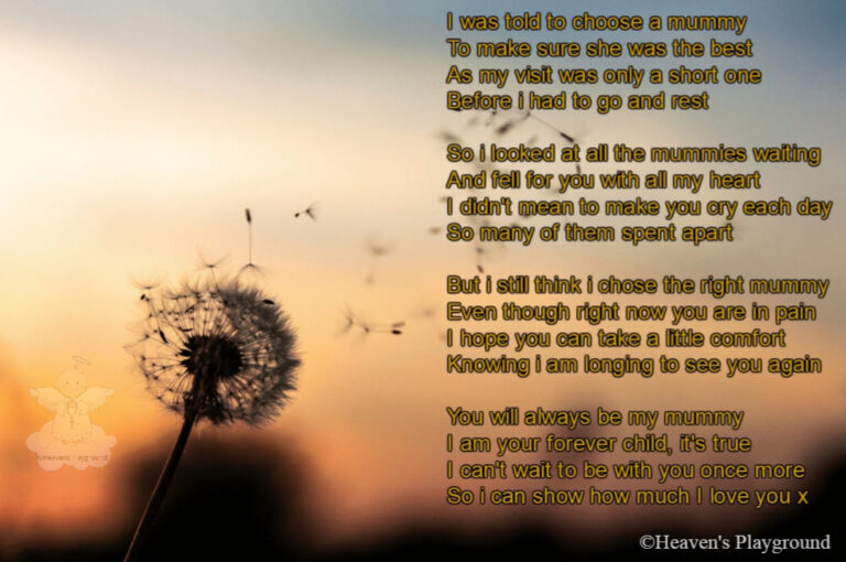 Graphic of a dandelion against an evening sky. Text reads: I was told to choose a mummy To make sure she was the best As my visit was only a short one Before i had to go and rest So i looked at all the mummies waiting And fell for you with all my heart I didn't mean to make you cry each day So many of them spent apart But I still think 1 chose the right mummy Even though right now you are in pain I hope you can take a little comfort Knowing i am longing to see you again You will always be my mummy I am your forever child, it's true I can't wait to be with you once more So i can show how much I love you x ©Heaven's Playground