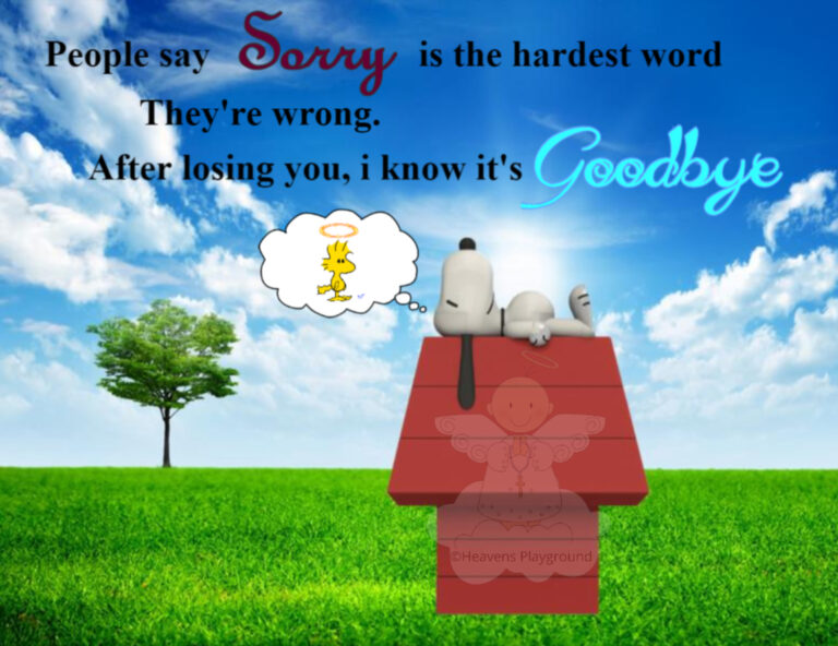 Snoopy thinking of woodstock on the fields. Text reads: People say Sorry / is the hardest word They're wrong. After losing you, i know it's Goodbye