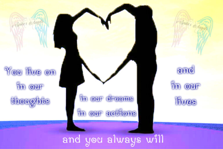 Silhouette of two people with their arms stretched out to form a shape of a heart. Text reads: You live on in our thoughts in our dreams in our actions and in our lives and you always will.