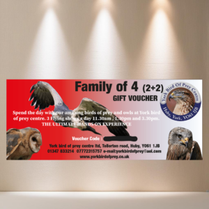 LOT 159 - Family of 4 (2 + 2) for York Bird of Prey Centre