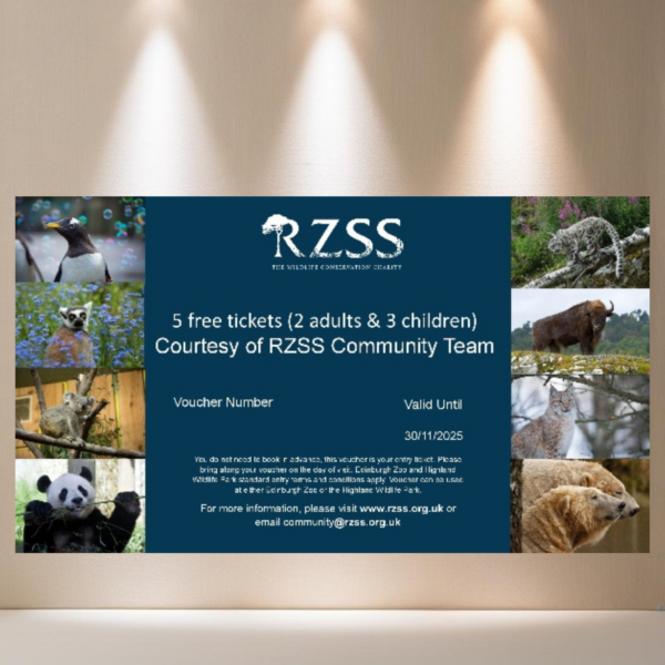 LOT 258 - 5 Tickets (2 Adults & 3 Children) for Edinburgh Zoo