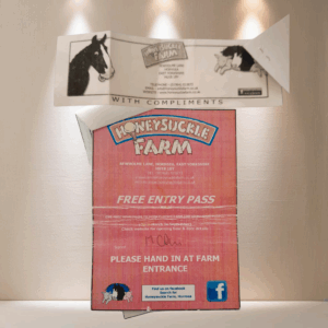 LOT 355 - Day Pass for 4, Honeysuckle Farm