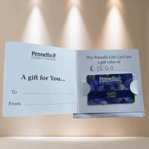 LOT 404 - £15 Pennell's Gift Card