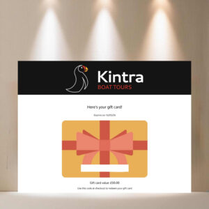LOT 429 - Kintra Boat Tours £50 Gift Card